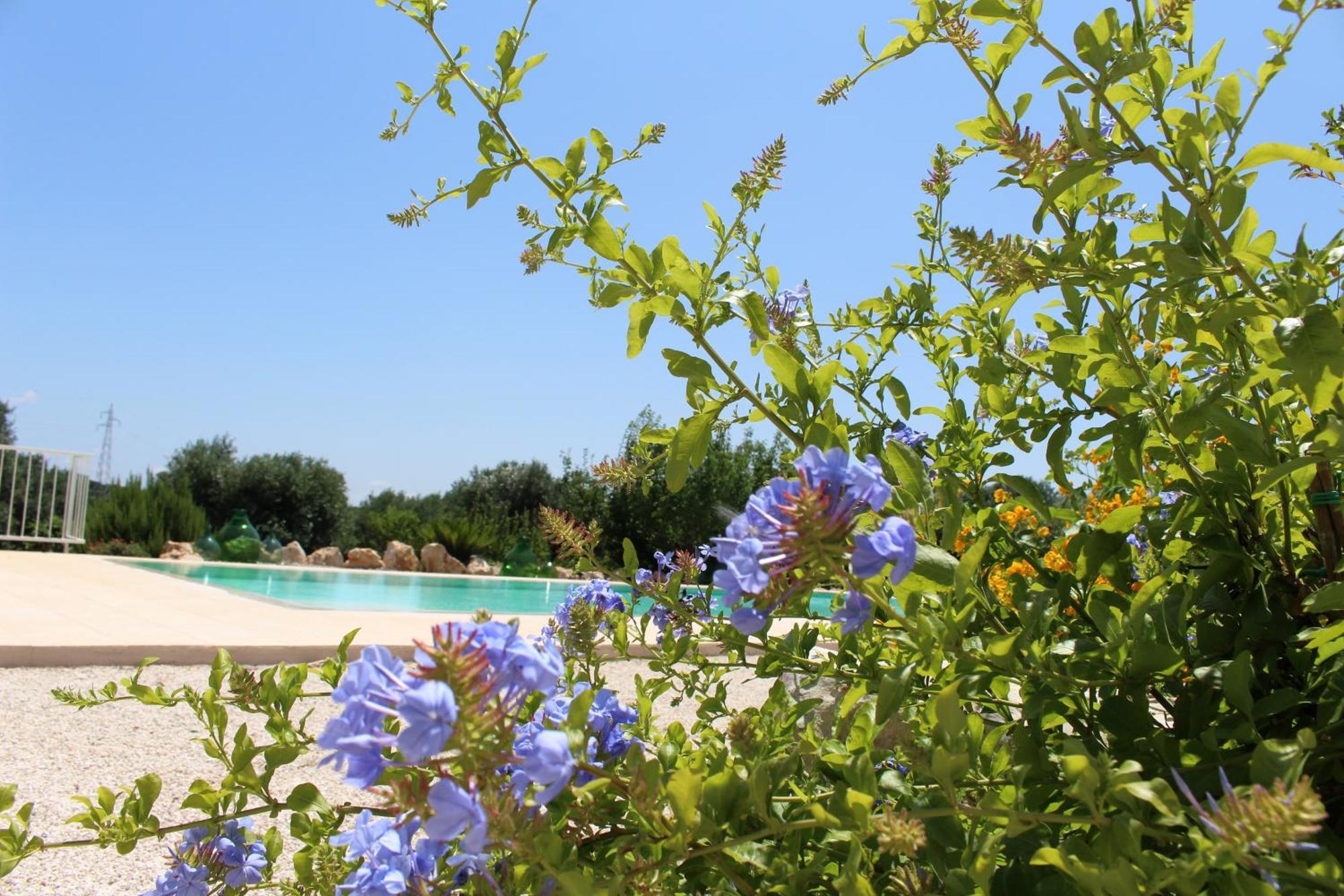 Trullo Il Melograno Guest House Ostuni Luaran gambar