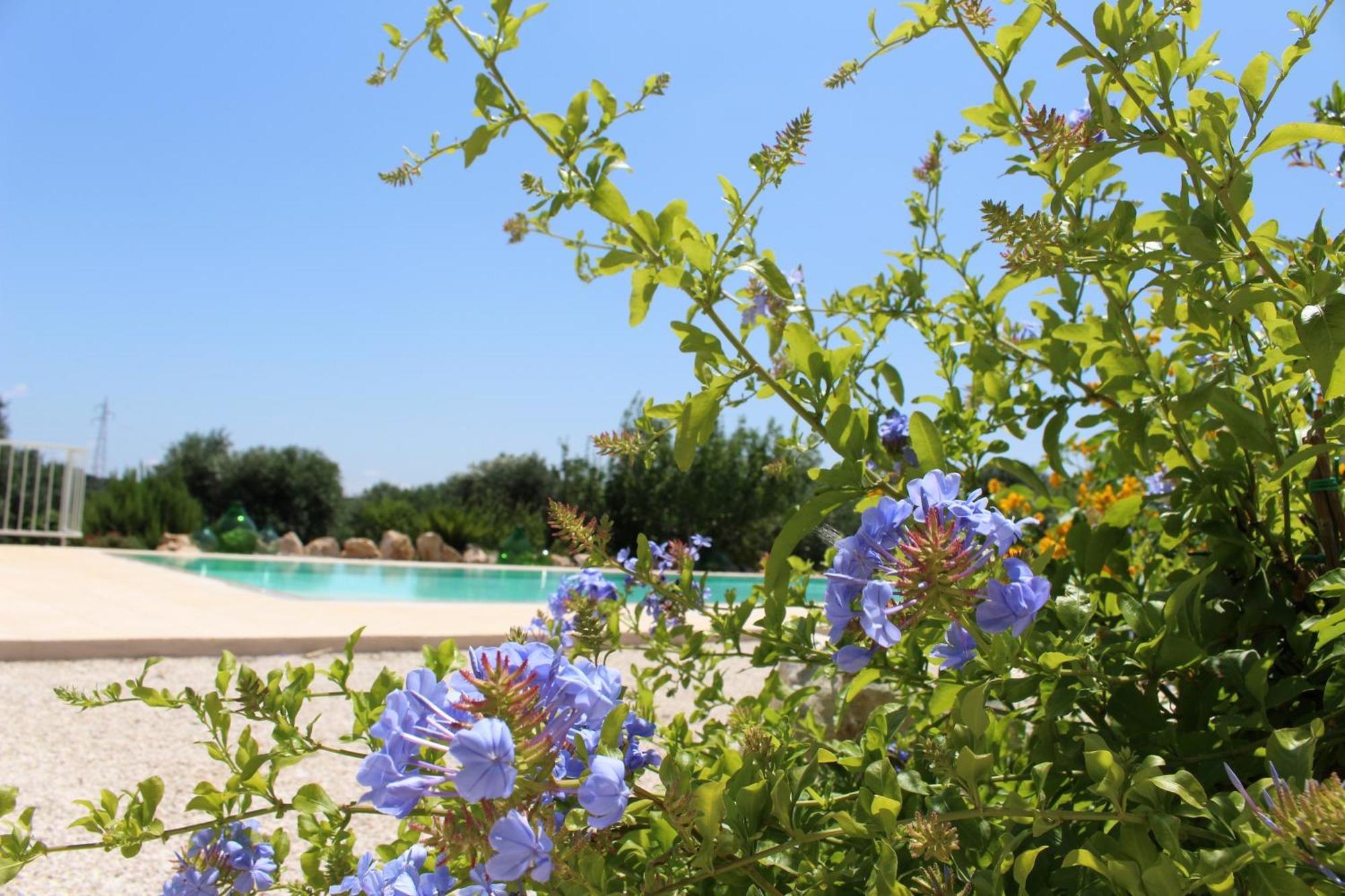 Trullo Il Melograno Guest House Ostuni Luaran gambar