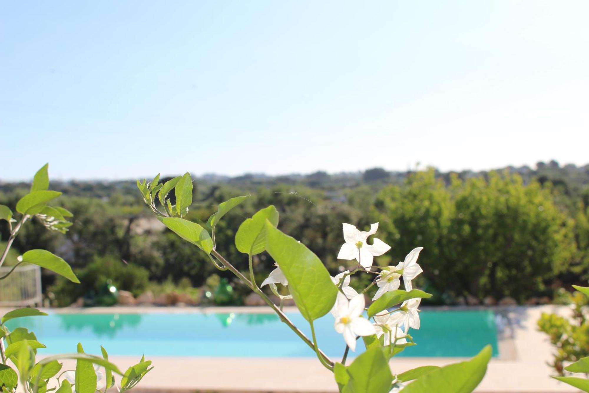 Trullo Il Melograno Guest House Ostuni Luaran gambar